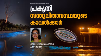 'കവരുകൾ'; പരിസ്ഥിതിയുടെ കാവല്‍ക്കാരായ ഒരു കുഞ്ഞ് ജീവനെക്കുറിച്ച് അറിയാം...