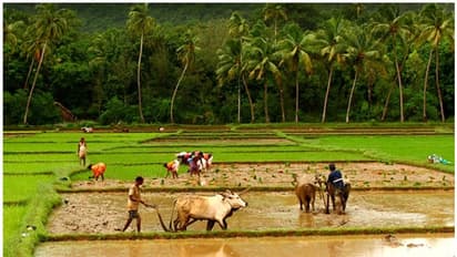 Pollution Control Board : ಶುದ್ಧ ಗಾಳಿ: ಚಿಕ್ಕಬಳ್ಳಾಪುರಕ್ಕೆ 4ನೇ ಸ್ಥಾನ