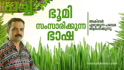 ഇളംപച്ചയിലേക്കുള്ള തിരിച്ചുപോക്കുകള്