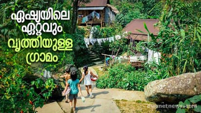 വേരുകൊണ്ടുള്ള പാലം, മുളകൊണ്ടുള്ള വീടുകള്; ഇവിടെ എന്നും പരിസ്ഥിതി ദിനം!