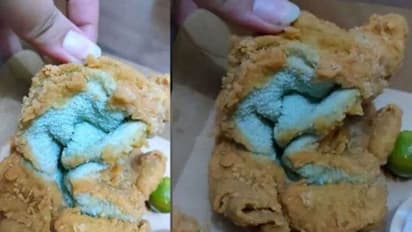 ഓണ്ലൈന് വഴി ഓർഡർ ചെയ്തത് ചിക്കൻ ഫ്രൈ; കിട്ടിയ ഭക്ഷണം കണ്ട് അമ്പരന്ന് യുവതി...