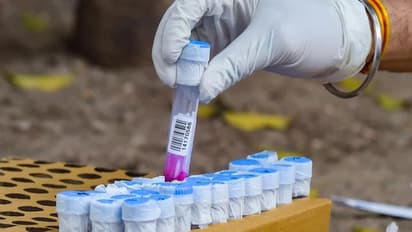 আবারও বাড়ল দৈনিক সংক্রমণে, তবে এক লাখের নীচেই আক্রান্তের সংখ্যা, মৃত্যু ২,২১৯