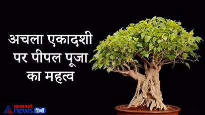 अचला एकादशी आज: इस दिन पीपल की पूजा का है विशेष महत्व, मिलते हैं ग्रहों के शुभ फल