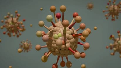 మళ్లీ విజృంభించనున్న కరోనా: భారత్ సహా పలు దేశాలకు డబ్ల్యూహెచ్ఓ వార్నింగ్