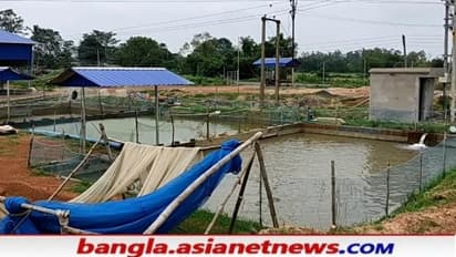 শুধু মানুষ নয়, অক্সিজেনের আকালে মাছের ডিমপোনা উৎপাদনের আতুরঘরও সঙ্কটে