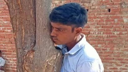 गेहूं चुराने वाले को मिली ऐसी सजा, पेड़ से बांधकर की पिटाई, फिर वीडियो किया वायरल
