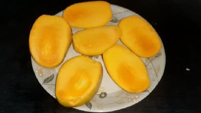 Mango kernels: మామిడి పండ్లతో కొలెస్ట్రాల్ కరగడమే కాదు.. ఆ బెనిఫిట్స్ కూడా ఉన్నాయి తెలుసా..