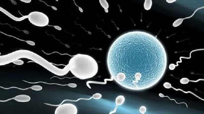 'ಸಾವಿನ ಅಂಚಿನಲ್ಲಿರುವ ಪತಿಯ ವೀರ್ಯ ಸಂರಕ್ಷಣೆ ಮಾಡಿ' ಮನವಿಗೆ ಕೋರ್ಟ್ ಸಮ್ಮತಿ