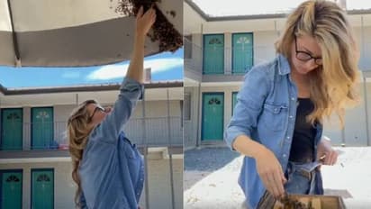 കൈകൊണ്ട് തേനീച്ചക്കൂട്ടത്തെ അടർത്തിയെടുക്കുന്ന യുവതി; വീഡിയോ വൈറല്‍