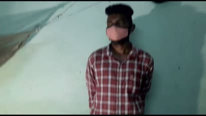 വാഴക്കുലകൾക്കുള്ളിൽ ഒളിപ്പിച്ച് കടത്താന് ശ്രമിച്ച കഞ്ചാവ് കുമളി ചെക്ക്പോസ്റ്റില് പിടികൂടി