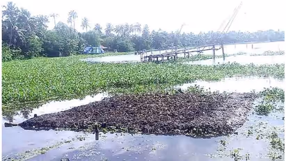 വേമ്പനാട്ട് കായലിലെ ഓളപരപ്പില് ഒഴുകുന്ന പൂ കൃഷിയും; പുതുപരീക്ഷണവുമായി കര്ഷകന്