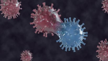 Centre says Delta Plus now a variant of concern in India