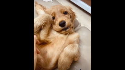 ಕ್ಯೂಟ್ ಬೇಬಿ Auraಗೆ ಅಮ್ಮನಾದ ರಶ್ಮಿಕಾ ಮಂದಣ್ಣ