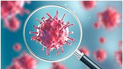 കൊറോണ വെെറസ് വുഹാൻ ലാബിൽ നിന്ന് ചോർന്നതാണെന്ന പഠന റിപ്പോർട്ട് പുറത്ത് വിട്ട് വാൾസ്ട്രീറ്റ് ജേണൽ