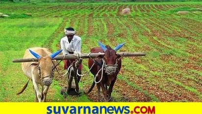 ರಾಜ್ಯದಲ್ಲಿ 3.06 ಲಕ್ಷ ಹೆಕ್ಟೇರ್‌ನಲ್ಲಿ ಬಿತ್ತನೆ ಪೂರ್ಣ