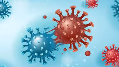 Not yet clear if Omicron variant more transmissible or causes severe disease: WHO