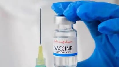 India to receive a share of 80 million US vaccines through COVAX: Official