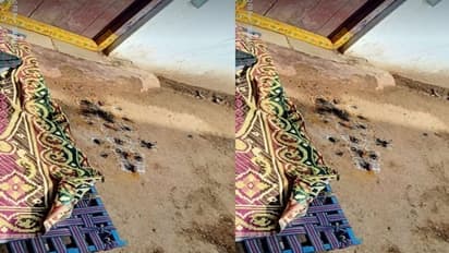 మధిరలో అమానుషం: భర్త చేత భార్య పన్ను పీకించి.....