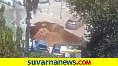 ಪಾರ್ಕಿಂಗ್ ಬಳಿ ಏಕಾಏಕಿ ಗುಂಡಿ, ವಾಹನಗಳೆಲ್ಲವೂ ಸ್ವಾಹ: CCTV ದೃಶ್ಯ ವೈರಲ್!
