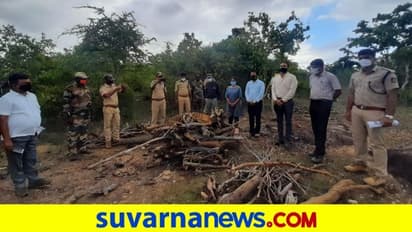 ಬಂಡೀಪುರ ಅಭಯಾರಣ್ಯದಲ್ಲಿ  10 ವರ್ಷದ ಗಂಡು ಹುಲಿ ಸಾವು