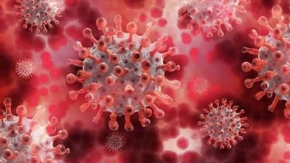 করোনা মহামারির মধ্যেই নতুন কোভিড ১৯ জীবাণুর সন্ধান চিনে,তবে কি আরও ভয়ঙ্কর হবে অতিমারি
