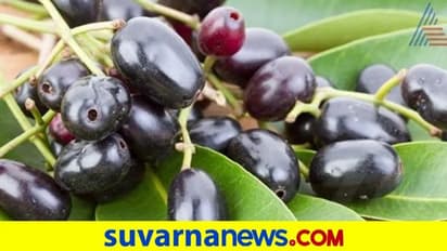 Jamun Health Benefits: రోజుకు ఒక్క నేరేడు పండు తిన్నా.. ఈ రోగాలన్నీ తగ్గిపోతయ్..