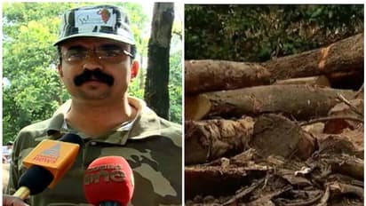 മുട്ടിൽ മരംമുറി: ഉന്നതതല അന്വേഷണം പ്രഖ്യാപിച്ച് സർക്കാർ, വനംമന്ത്രി ഇടപെട്ടതോടെ ധനേഷ് കുമാർ വീണ്ടും ചുമതലയിൽ