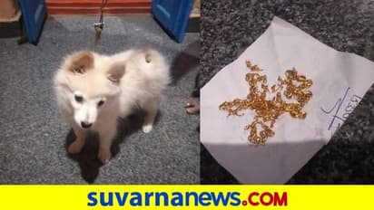 ಚಿನ್ನದ ಚೈನ್ ನುಂಗಿದ ಕಾರಟಗಿ ಶ್ವಾನ, ಮಾಲೀಕನ ಪಾಡು ಯಾಕ್ ಕೇಳ್ತಿರಿ!