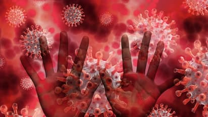 మరో కొత్త వ్యాధి కలకలం: యూకేలో రెండు మంకీపాక్స్ కేసులు