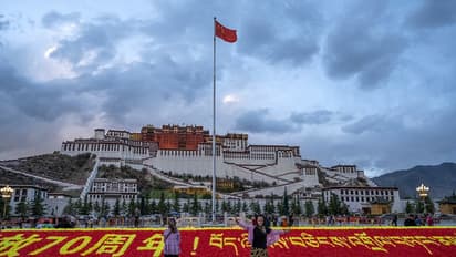 চিনা রাষ্ট্রপতি এখন 'তিব্বতী ধর্মগুরু' - বৌদ্ধ ভিক্ষুদের শয়নকক্ষেও তিনিই, দেখুন ছবিতে ছবিতে