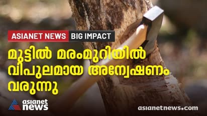 മുട്ടിൽ മരംമുറി കേസ്: വിജിലൻസ് - വനം ഉദ്യോസ്ഥരടക്കം അന്വേഷണത്തിന് വിപുലമായ സംഘം