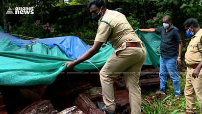 കാർഡമം ഹിൽ റിസർവിൽ പെട്ട സ്ഥലത്തു നിന്ന് മുറിച്ചു കടത്തിയ ലോഡു കണക്കിന് തടി വനംവകുപ്പ് പിടികൂടി