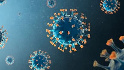 COVID-19 third wave expected around September-October: IIT Kanpur study