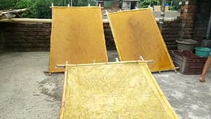 বিপন্ন মালদার আমসত্ত্ব শিল্প, পাশে দাঁড়িয়েছে সরকার