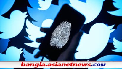 'সুরক্ষাকবচ' আর রইল না টুইটারের, প্রথম মার্কিন সংস্থা হিসাবে খেল ভারতের নয়া আইটি বিধির ঘা