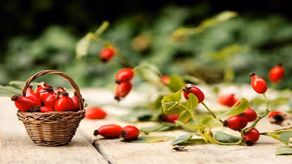 గులాబీ పండ్లు ఎప్పుడైనా చూశారా..? వాటి అరోగ్యప్రయోజనాలు తెలుసా?