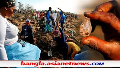 পশু চড়াতে গিয়ে হাতে আসল 'হীরা', ভাগ্যের সন্ধানে ৫ দিন ধরে মাটি খুঁড়ছেন গ্রামবাসীরা