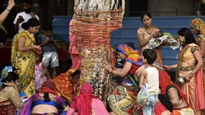 বেঁচে থাকুক...জামাইষষ্ঠীতে প্রার্থনা প্রকৃতির জন্য, অরণ্য ষষ্ঠীর রীতিতে মাতোয়ারা পুরুলিয়া