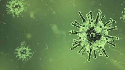 ഫംഗസുകള്‍ക്ക് ഭാവിയില്‍ ഭൂമുഖത്ത് നിന്നും മനുഷ്യനെ തുടച്ചുനീക്കാൻ കഴിയുമെന്ന് മുന്നറിയിപ്പ്    