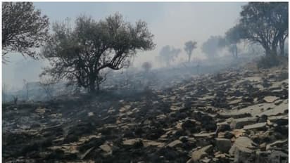 ഒമാനിലെ അല് ഹംറയില് കാട്ടുതീ; നിയന്ത്രിക്കാനുള്ള ശ്രമം തുടര്ന്ന് അഗ്നിശമനസേന