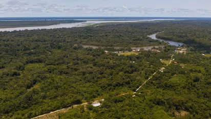 വനാതിര്ത്തിയിലെ ബഫര് സോണ്: നിയമപരമായി നീങ്ങാൻ കേരളം, നാളെ ഉന്നതതലയോഗം ചേരും