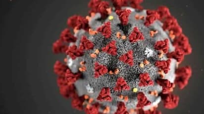 കൊവിഡ് 19; വിദേശരാജ്യങ്ങളില് തലവേദന സൃഷ്ടിച്ച് ഇന്ത്യന് വകഭേദമായ വൈറസ്...