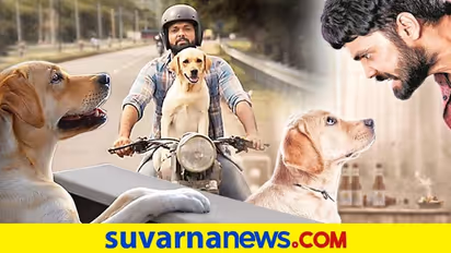 777 Charlie: Karnataka CM Basavaraj Bommai watches Rakshit Shetty movie; here's how he reacted