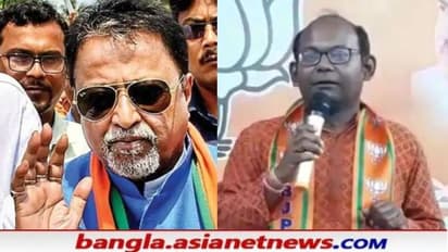 ' হাতির পিঠ থেকে দু-তিনটে পিঁপড়ে নামলে যায় আসে না', মুকুল ইস্যুতে বিস্ফোরক সায়ন্তন