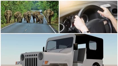 ഓടിക്കൊണ്ടിരുന്ന കാർ വളഞ്ഞിട്ട് ചവിട്ടി കാട്ടാനക്കൂട്ടം, രക്ഷകനായി ഒരു ജീപ്പ്!