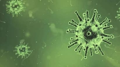 വീണ്ടും 'ഗ്രീന്‍ ഫംഗസ്' കേസ്; എങ്ങനെയാണിത് ബ്ലാക്ക് ഫംഗസില്‍ നിന്ന് വ്യത്യസ്തമാകുന്നത്?