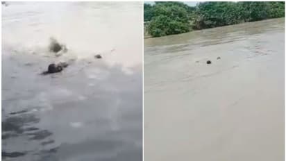 ഒഴുക്കില്പ്പെട്ട യുവാവിനെ ജീവന് പണയപ്പെടുത്തി രക്ഷപ്പെടുത്തി പൊലീസ് ഉദ്യോഗസ്ഥന്; വീഡിയോ വൈറല്