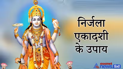 आज निर्जला एकादशी पर करें ये आसान उपाय, पूरी होगी हर इच्छा और घर में रहेगी सुख-समृद्धि