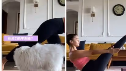 Alia Bhatt shows off her perfect Yoga poses; also look what her cat 'Edward' does (Watch Video)