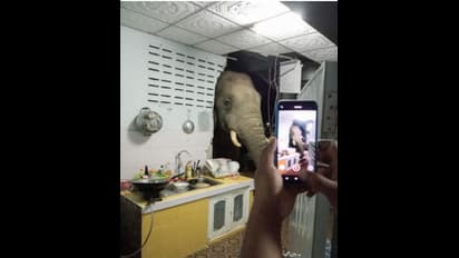 കുറച്ച് അരിയെടുക്കാന്‍ കയറിയതാ... അടുക്കള ചുമരൊന്ന് വീണു !